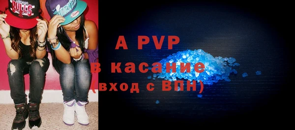 гашик Осташков