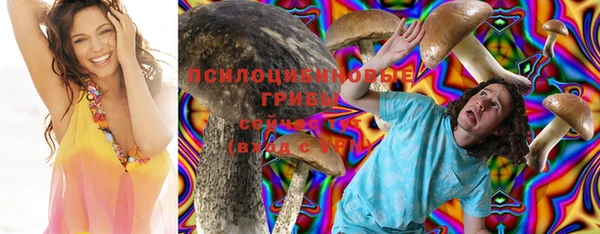 дживик Нязепетровск