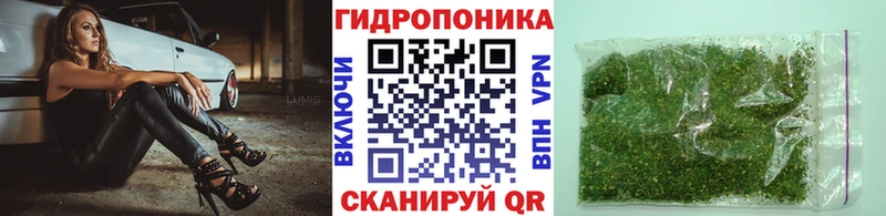 Шишки марихуана планчик  Полярные Зори 